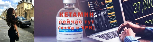 шишки Майский