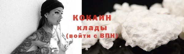 шишки Майский