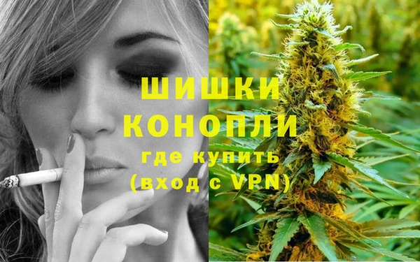 шишки Майский