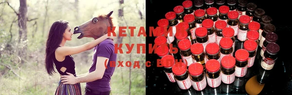 шишки Майский