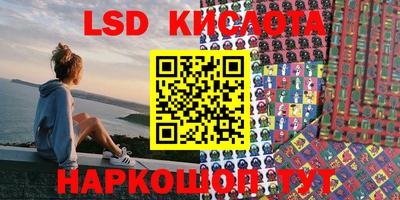 spice Новодвинск
