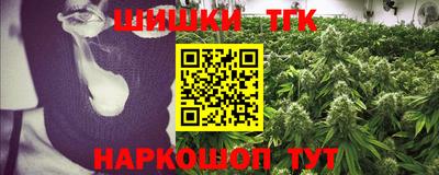 spice Новодвинск